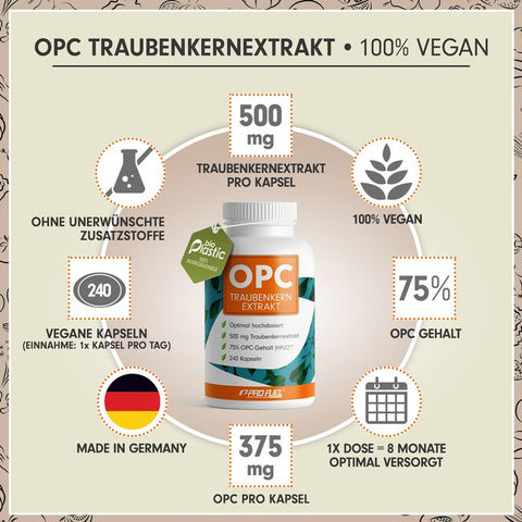 ProFuel - OPC - Traubenkernextrakt - 240 Kapseln