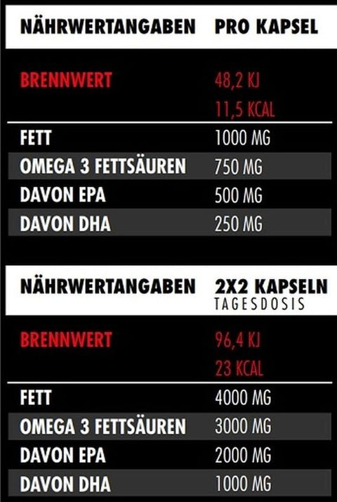 Big Zone Omega 3 (120 Kapseln)